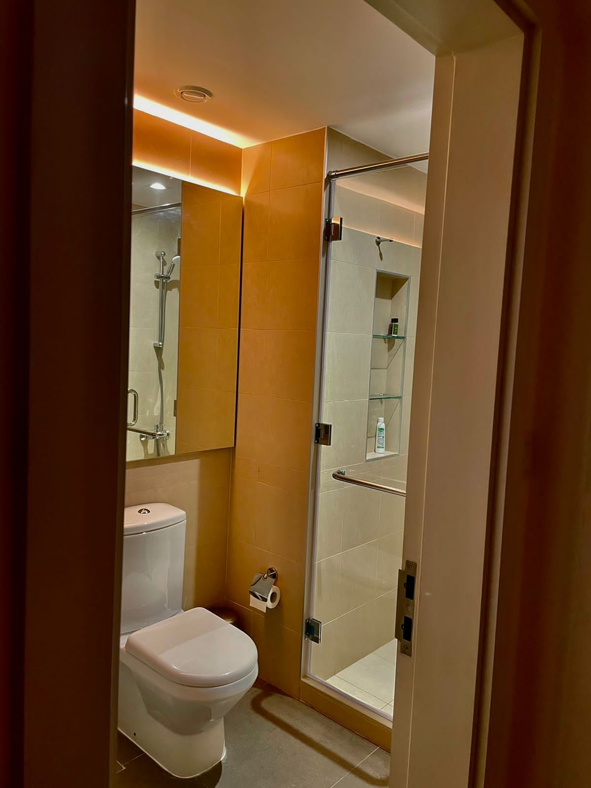 Dubai Villa Room Painting